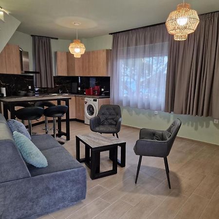 Solymar Prive Apartment Archangelos  Exterior photo